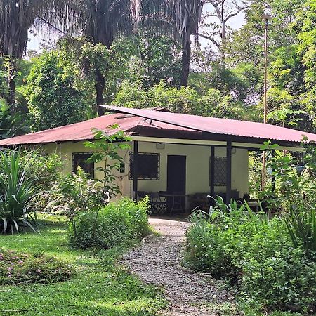 Four Monkeys Eco Lodge Jungle & Beach - The House Cabo Matapalo Exterior foto
